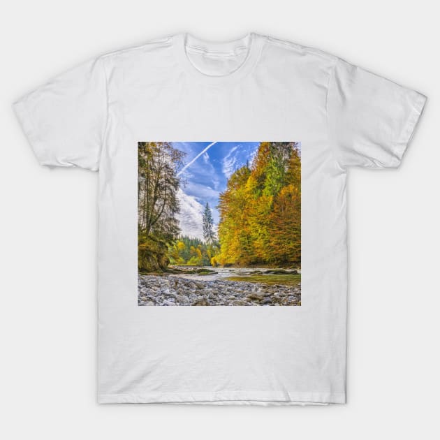 SCENERY 82 - Autumn Trees Clear Stream Water River T-Shirt by artvoria